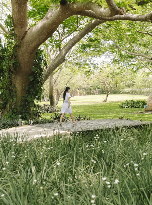 a woman in a white dress walking through a park, a tilt shift photo by Jacob Willemszoon de Wet, featured on cg society, australian tonalism, playstation 5 screenshot, rendered in unreal engine, made of vines