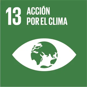 objetivo 13 es