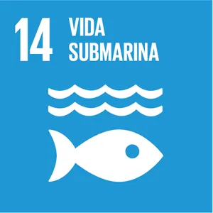 objetivo 14 es