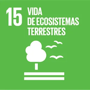 objetivo 15 es
