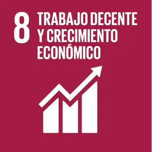 objetivo 8 es