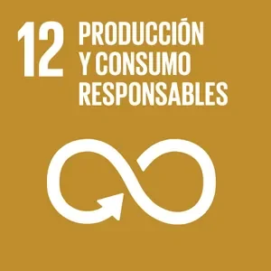 objetivo 12 es